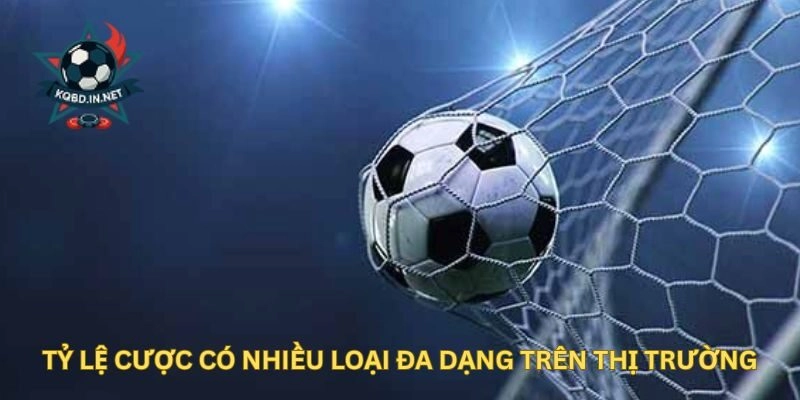 Tỷ Lệ Cược có nhiều loại đa dạng trên thị trường
